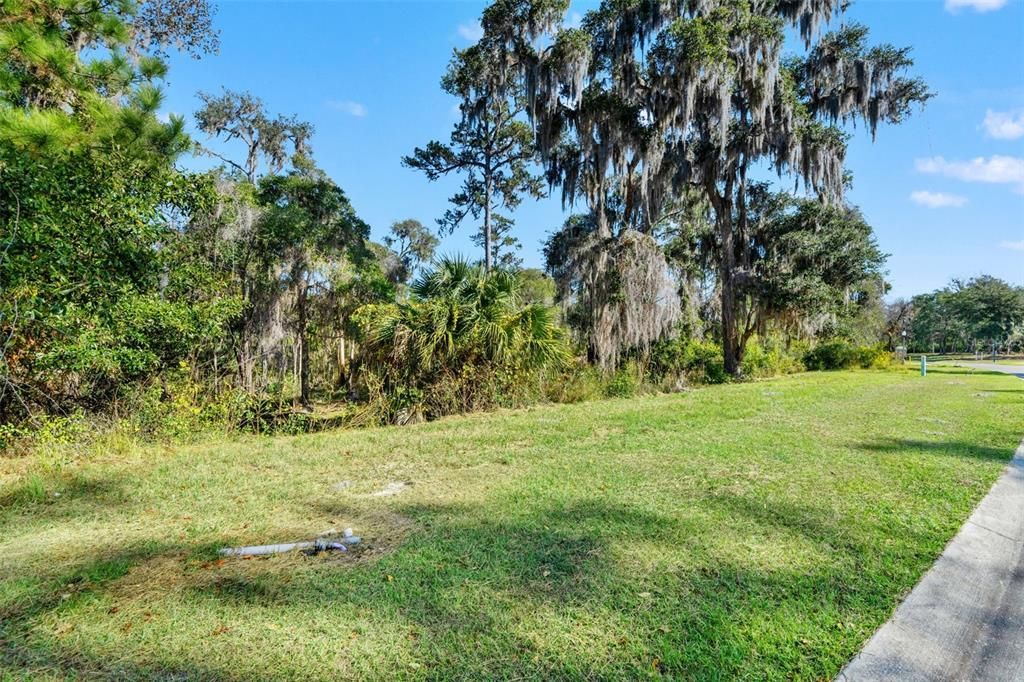 For Sale: $169,000 (0.30 acres)