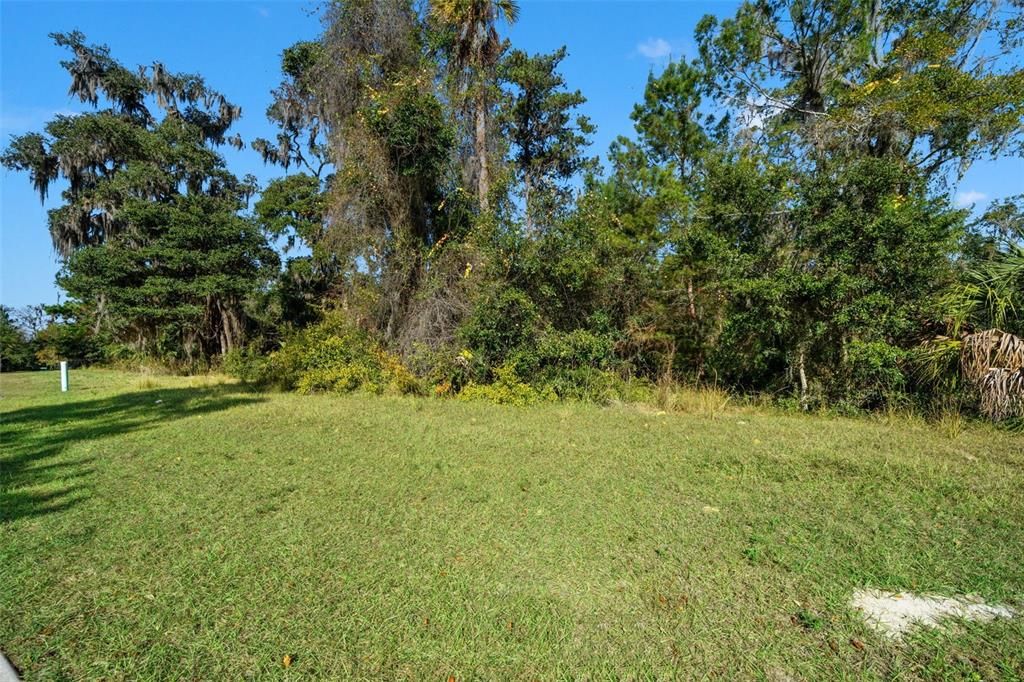 For Sale: $169,000 (0.30 acres)