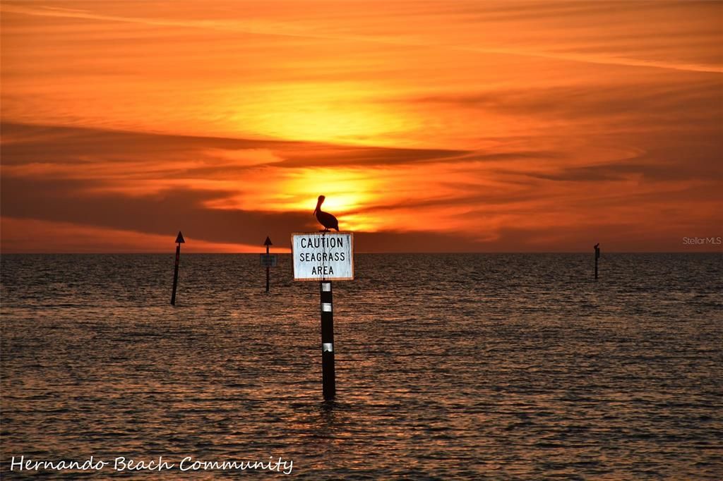 待售: $250,000 (0.15 acres)