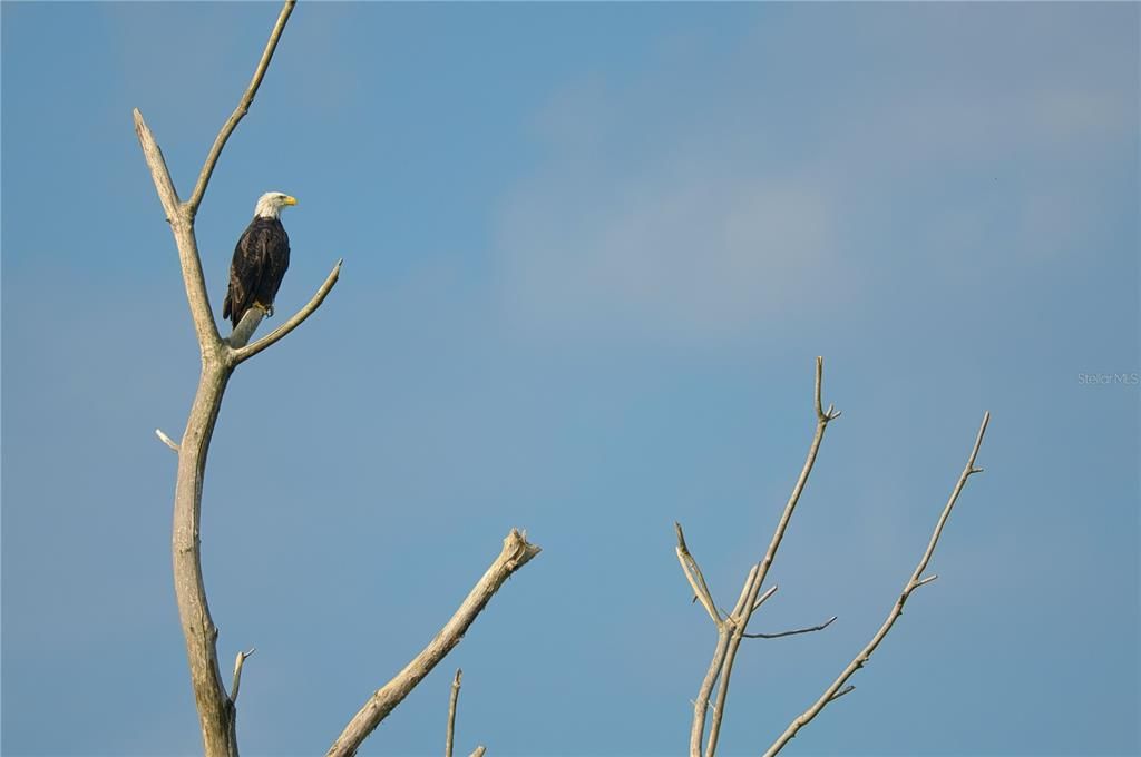 待售: $250,000 (0.15 acres)