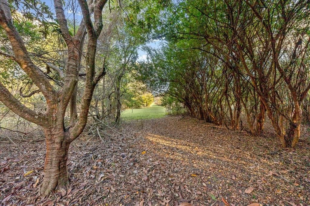 For Sale: $300,000 (3 beds, 2 baths, 1620 Square Feet)