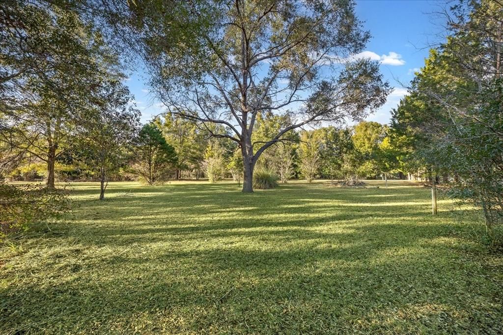 For Sale: $300,000 (3 beds, 2 baths, 1620 Square Feet)