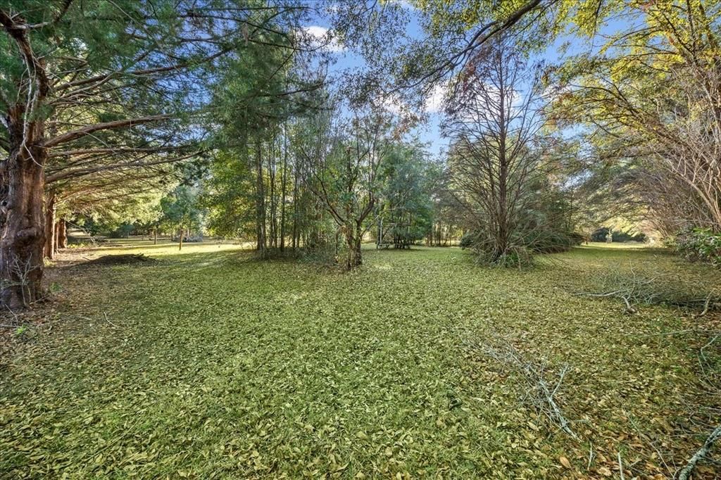 For Sale: $300,000 (3 beds, 2 baths, 1620 Square Feet)