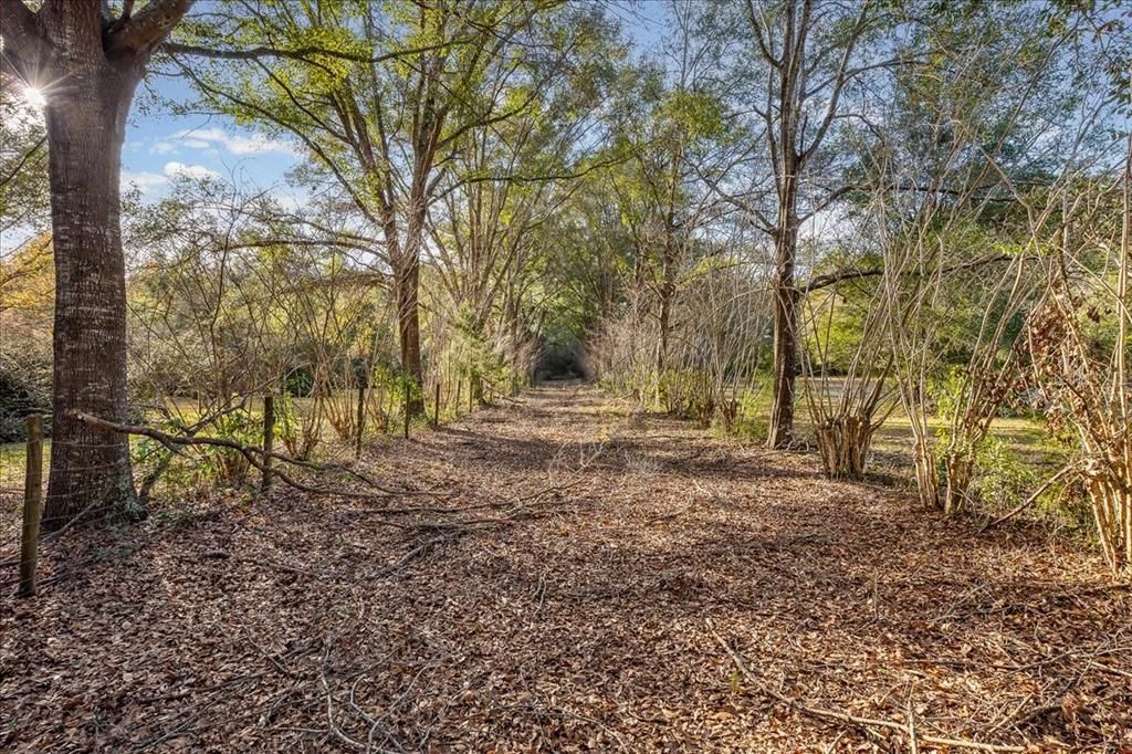 For Sale: $300,000 (3 beds, 2 baths, 1620 Square Feet)