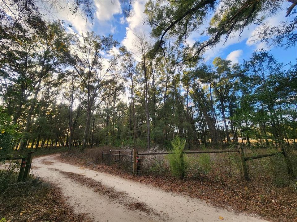 For Sale: $300,000 (3 beds, 2 baths, 1620 Square Feet)