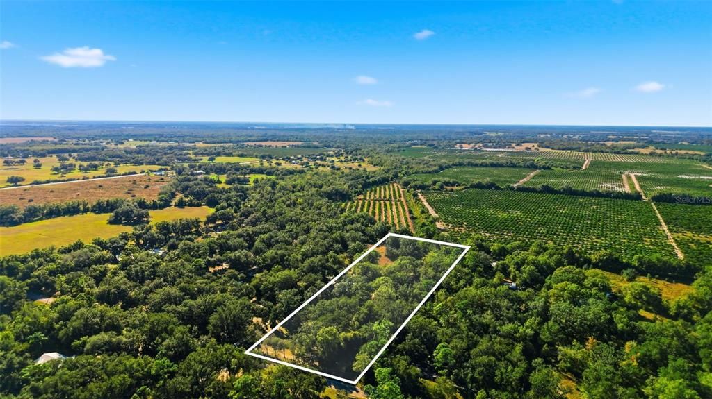 На продажу: $359,000 (3 спален, 2 ванн, 1432 Квадратных фут)