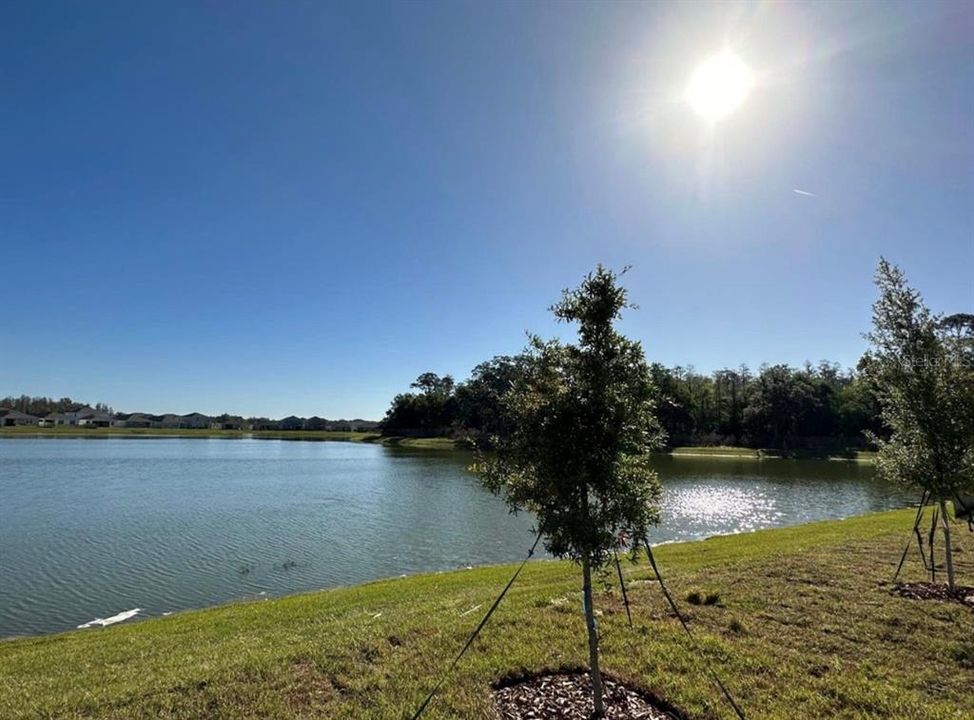 En Venta: $528,000 (5 camas, 2 baños, 2615 Pies cuadrados)