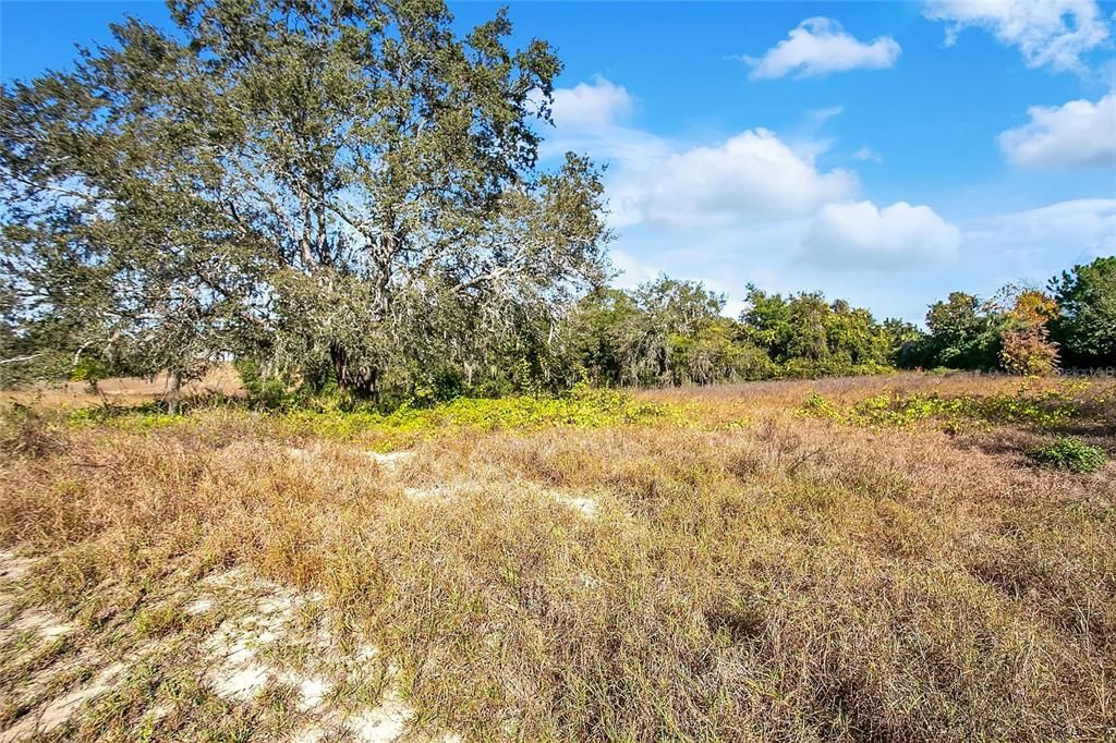 待售: $800,000 (3.82 acres)