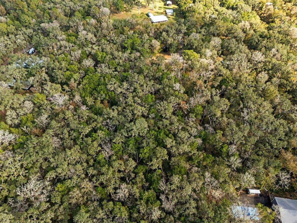 For Sale: $600,000 (3 beds, 2 baths, 2288 Square Feet)