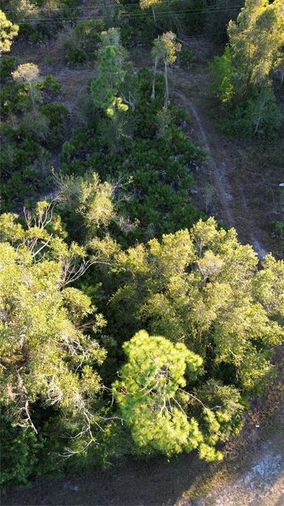 For Sale: $13,000 (0.16 acres)