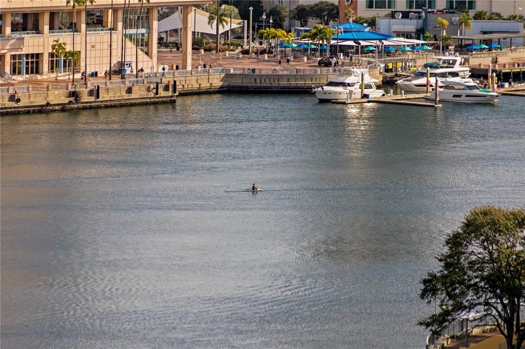 出租: $2,900 (1 贝兹, 1 浴室, 853 平方英尺)