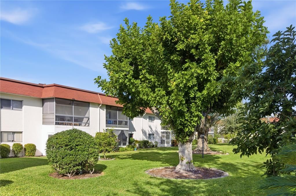 待售: $193,849 (2 贝兹, 2 浴室, 977 平方英尺)