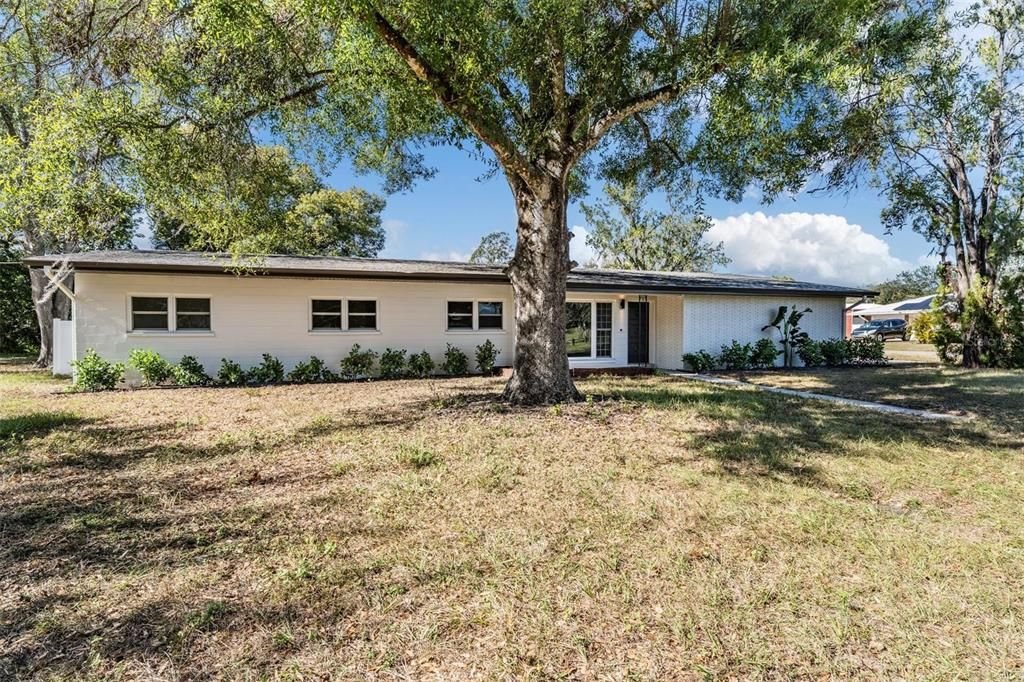 出租: $3,200 (3 贝兹, 2 浴室, 1664 平方英尺)