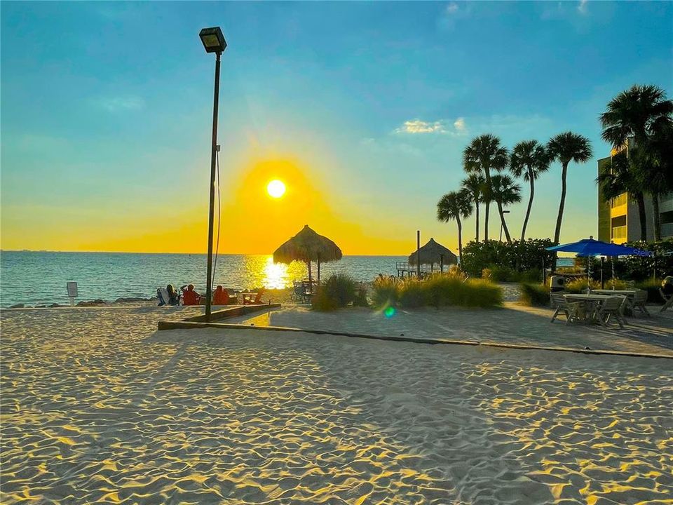 出租: $2,250 (1 贝兹, 1 浴室, 560 平方英尺)