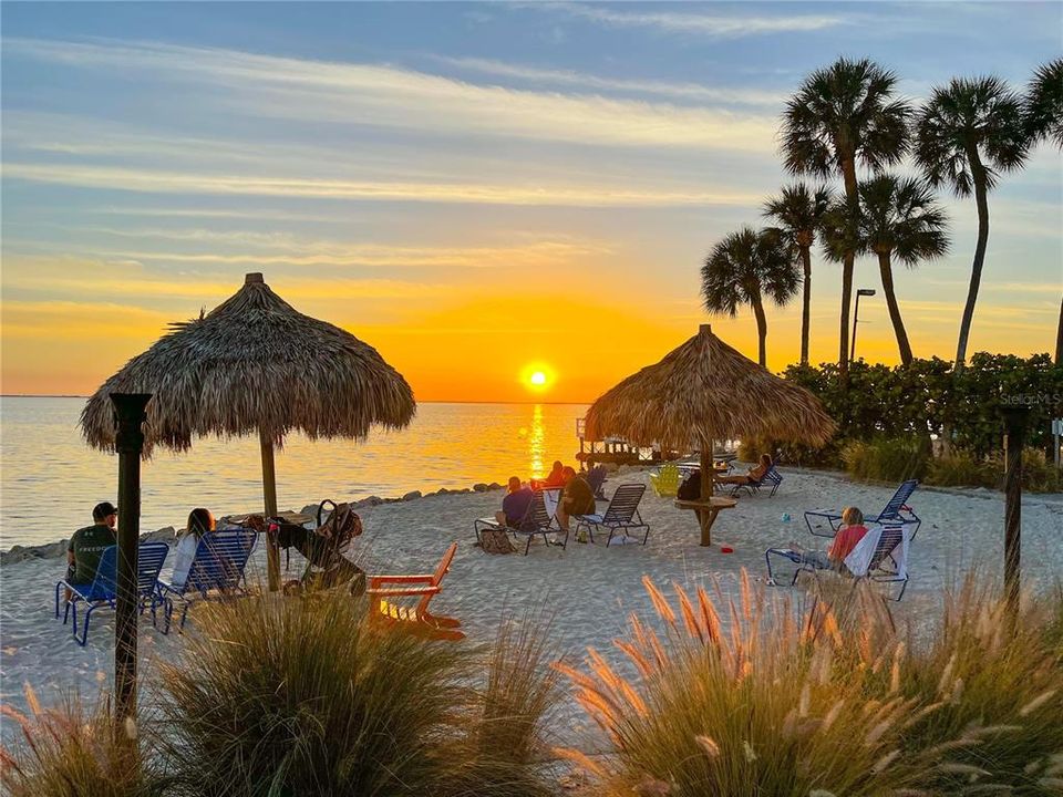 出租: $2,250 (1 贝兹, 1 浴室, 560 平方英尺)