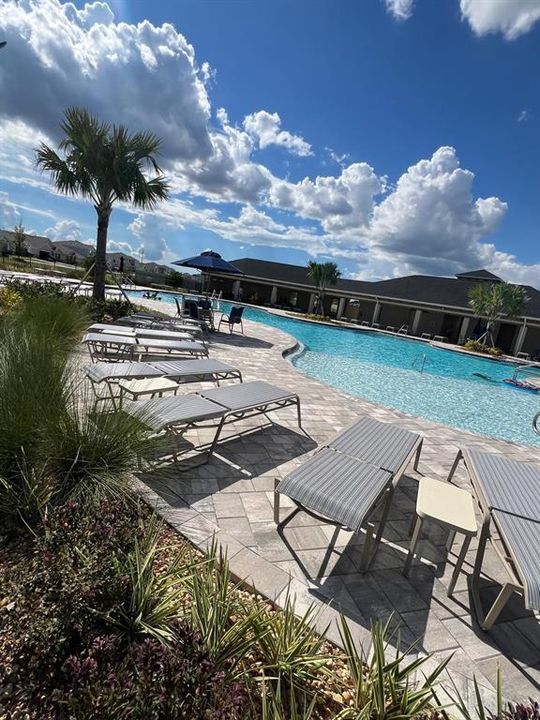 出租: $2,250 (4 贝兹, 2 浴室, 1827 平方英尺)