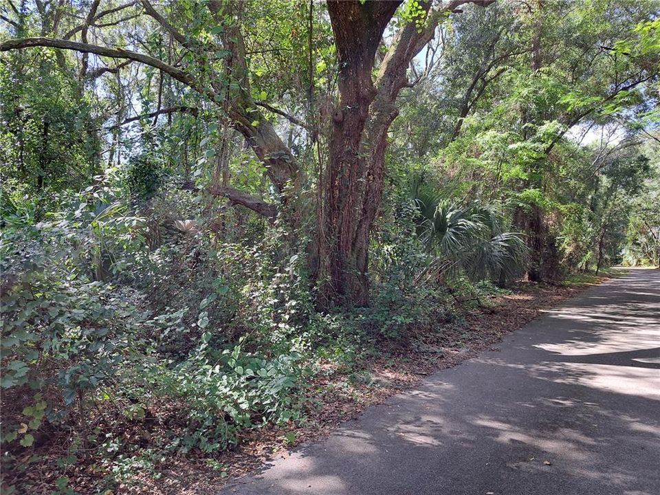 待售: $110,000 (0.25 acres)