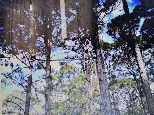 En Venta: $7,999,000 (31.80 acres)