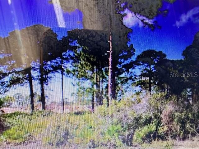 En Venta: $7,999,000 (31.80 acres)