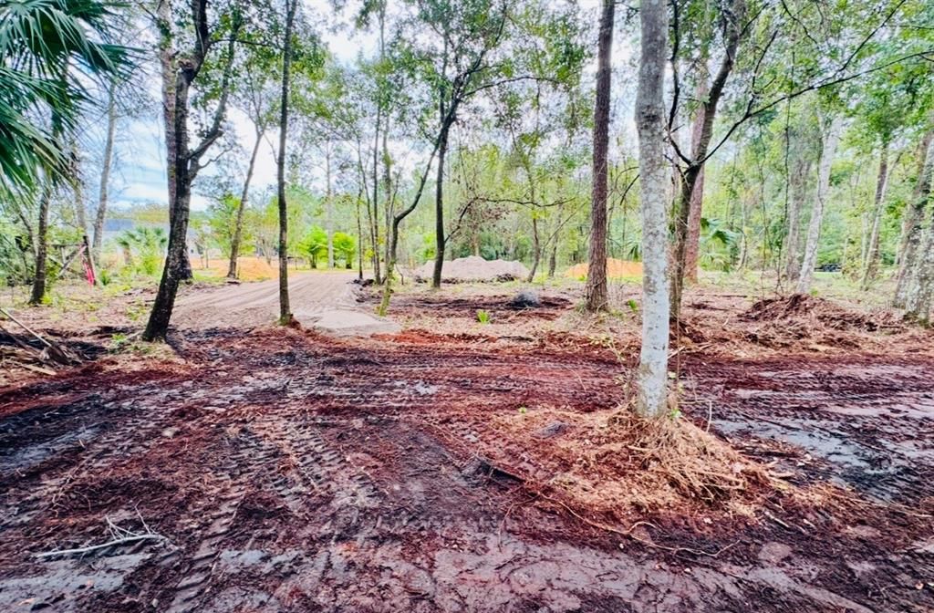 На продажу: $299,000 (5.00 acres)