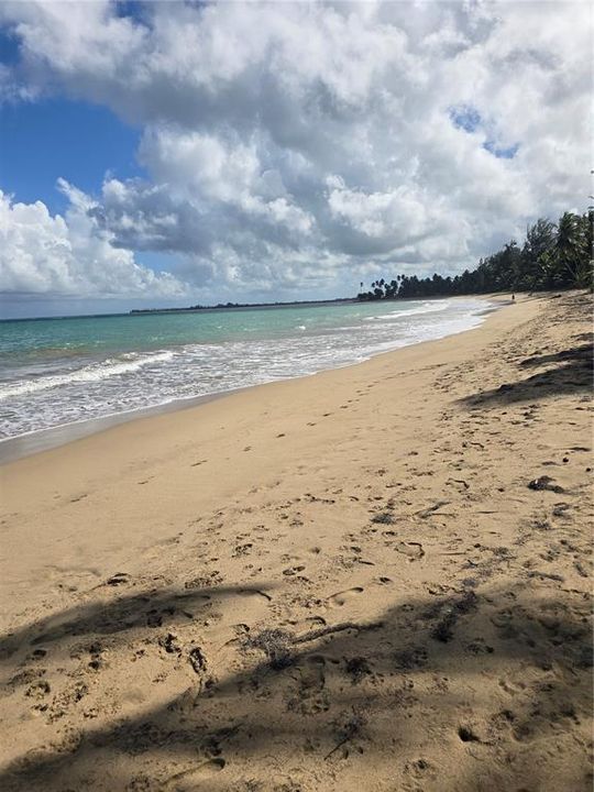 На продажу: $325,000 (2 спален, 2 ванн, 1010 Квадратных фут)