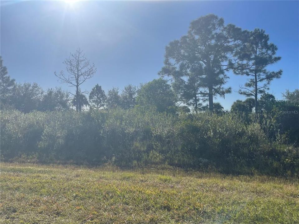 En Venta: $124,900 (5.00 acres)