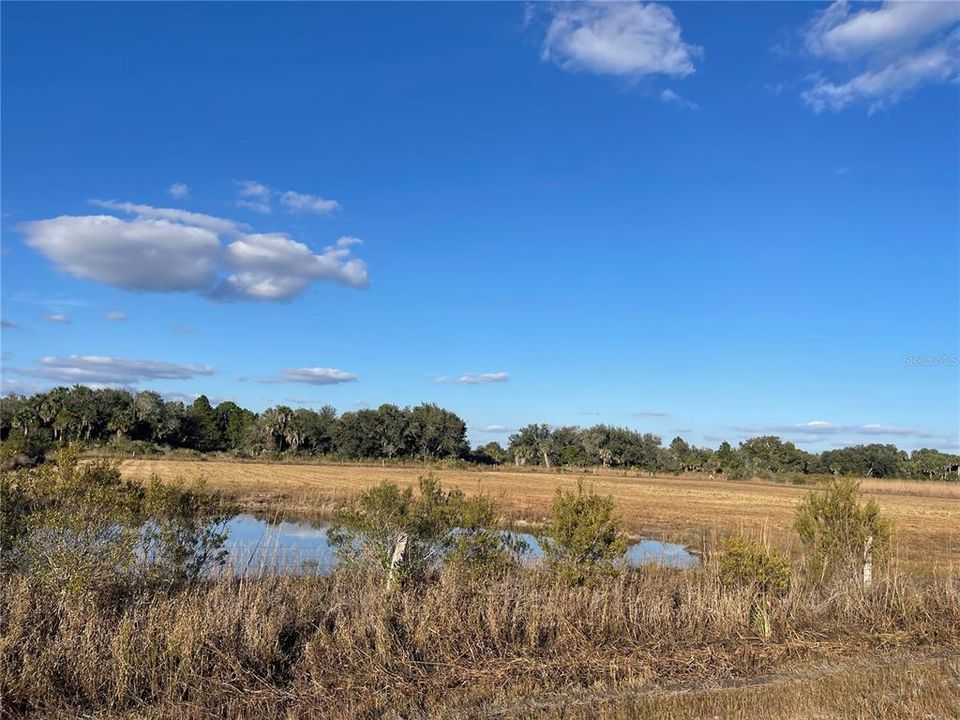 En Venta: $124,900 (5.00 acres)