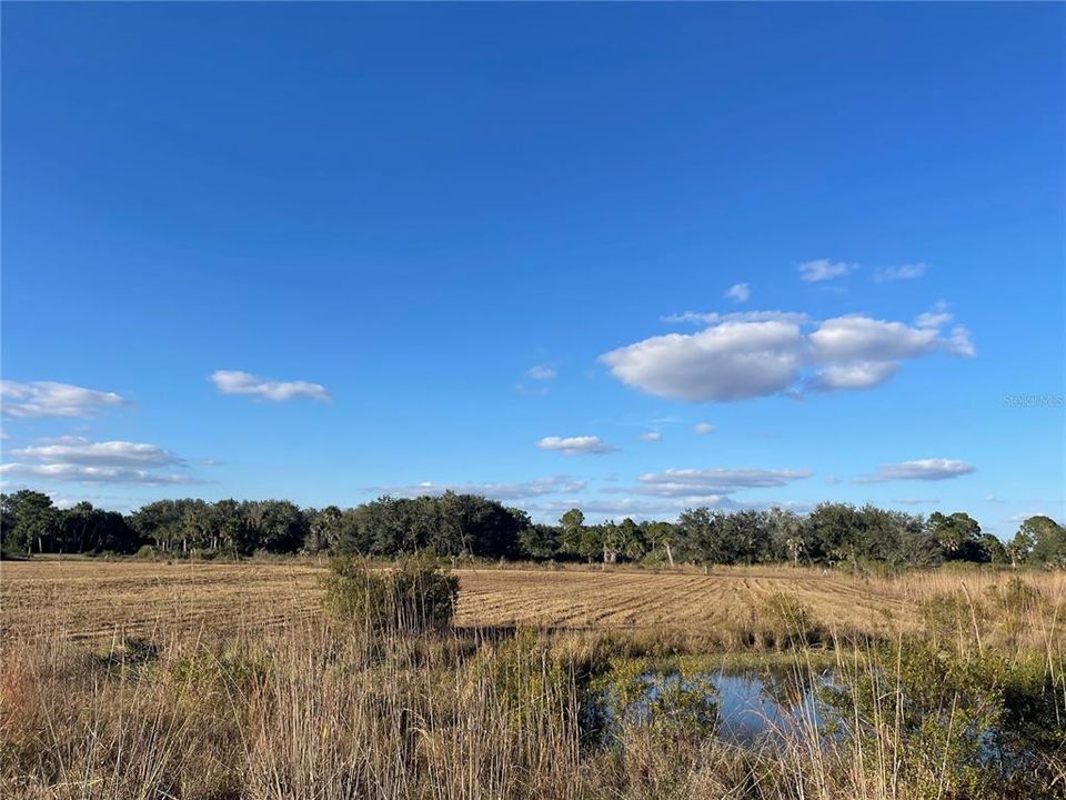 En Venta: $124,900 (5.00 acres)