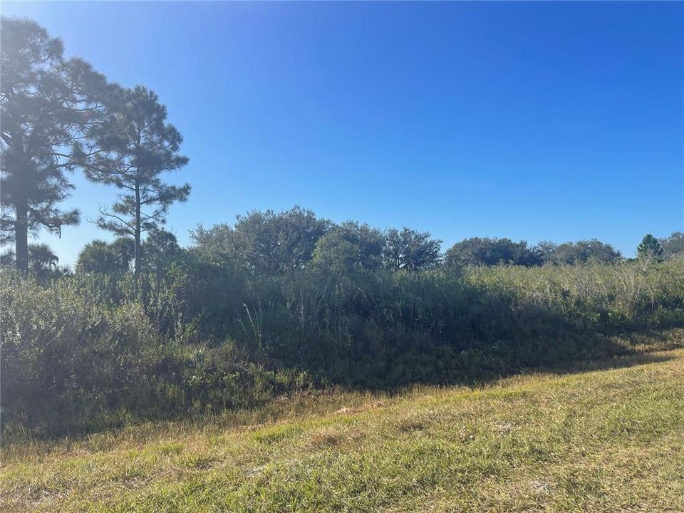 En Venta: $124,900 (5.00 acres)