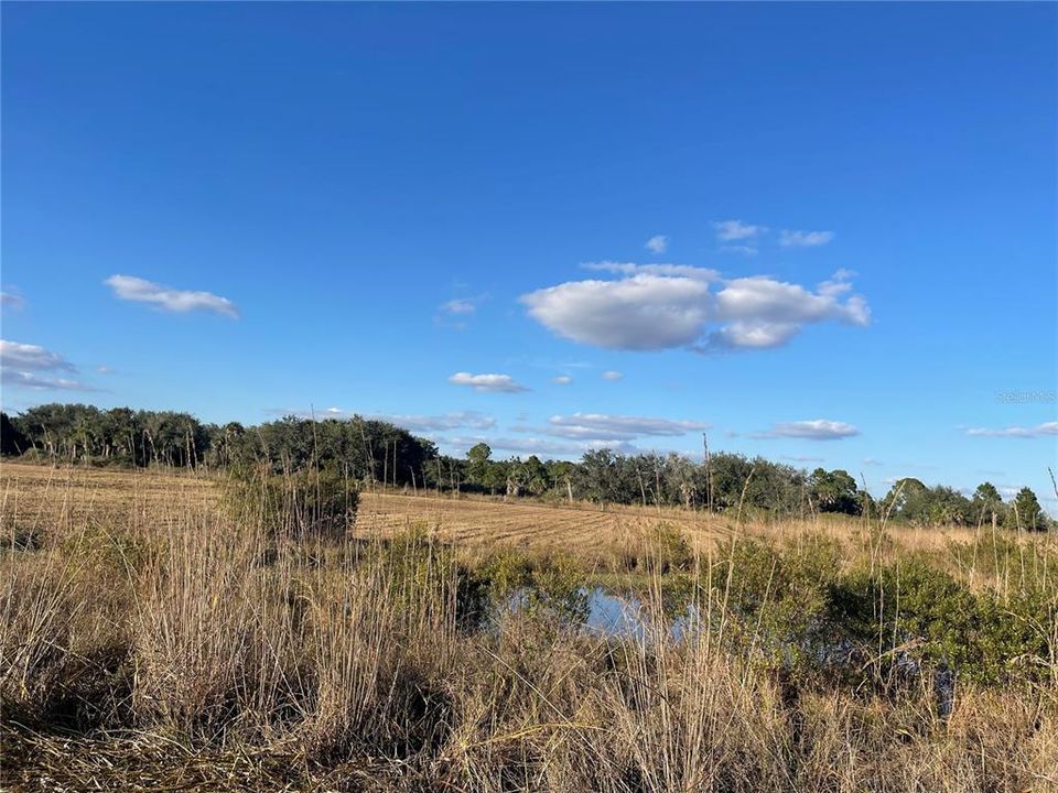 En Venta: $124,900 (5.00 acres)