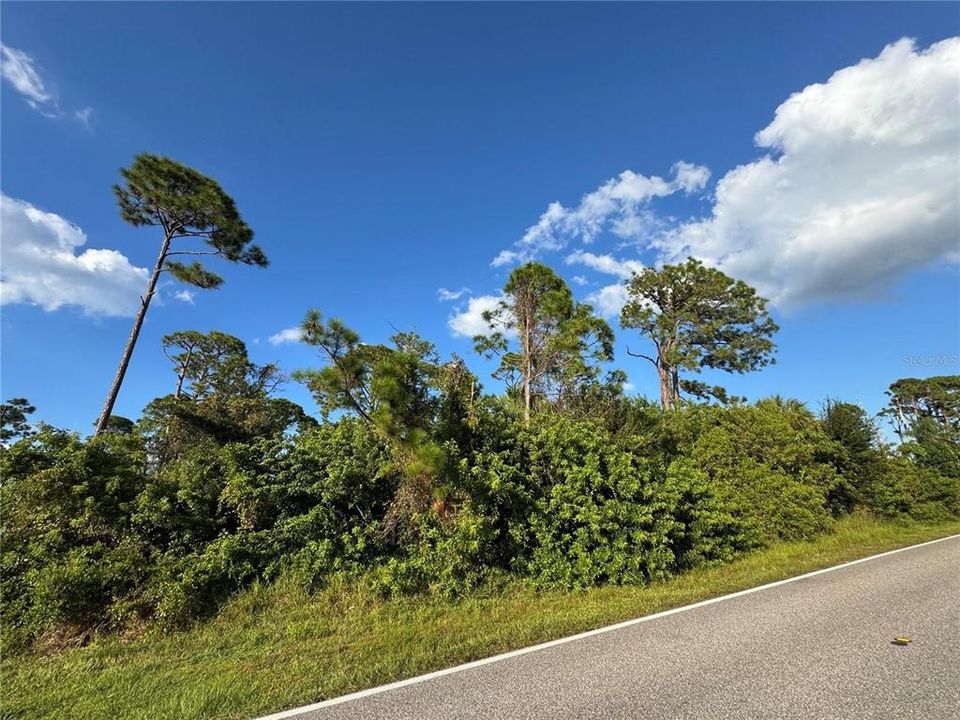 For Sale: $19,500 (0.23 acres)