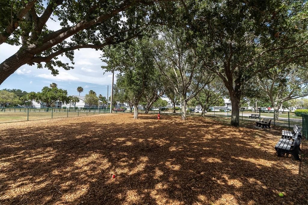 待售: $375,000 (2 贝兹, 2 浴室, 1015 平方英尺)