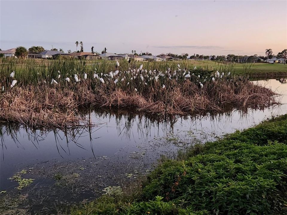 For Sale: $409,900 (3 beds, 2 baths, 1542 Square Feet)