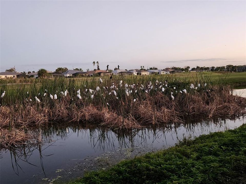 For Sale: $409,900 (3 beds, 2 baths, 1542 Square Feet)