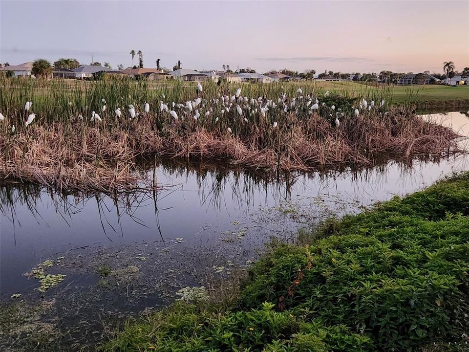 For Sale: $409,900 (3 beds, 2 baths, 1542 Square Feet)