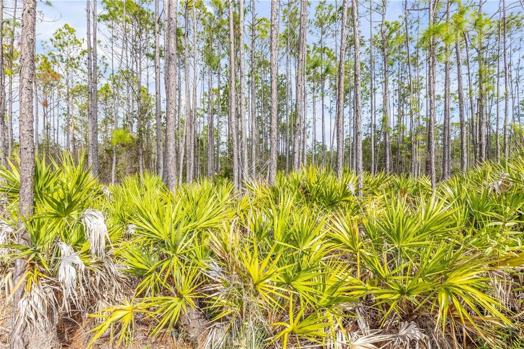 For Sale: $449,000 (4 beds, 3 baths, 2260 Square Feet)