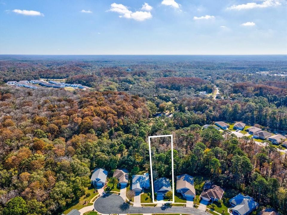 待售: $349,900 (3 贝兹, 2 浴室, 1597 平方英尺)