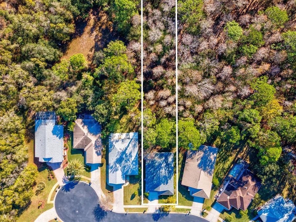 待售: $349,900 (3 贝兹, 2 浴室, 1597 平方英尺)