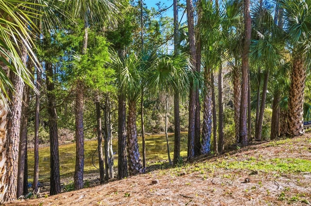 En Venta: $329,900 (3 camas, 2 baños, 1576 Pies cuadrados)