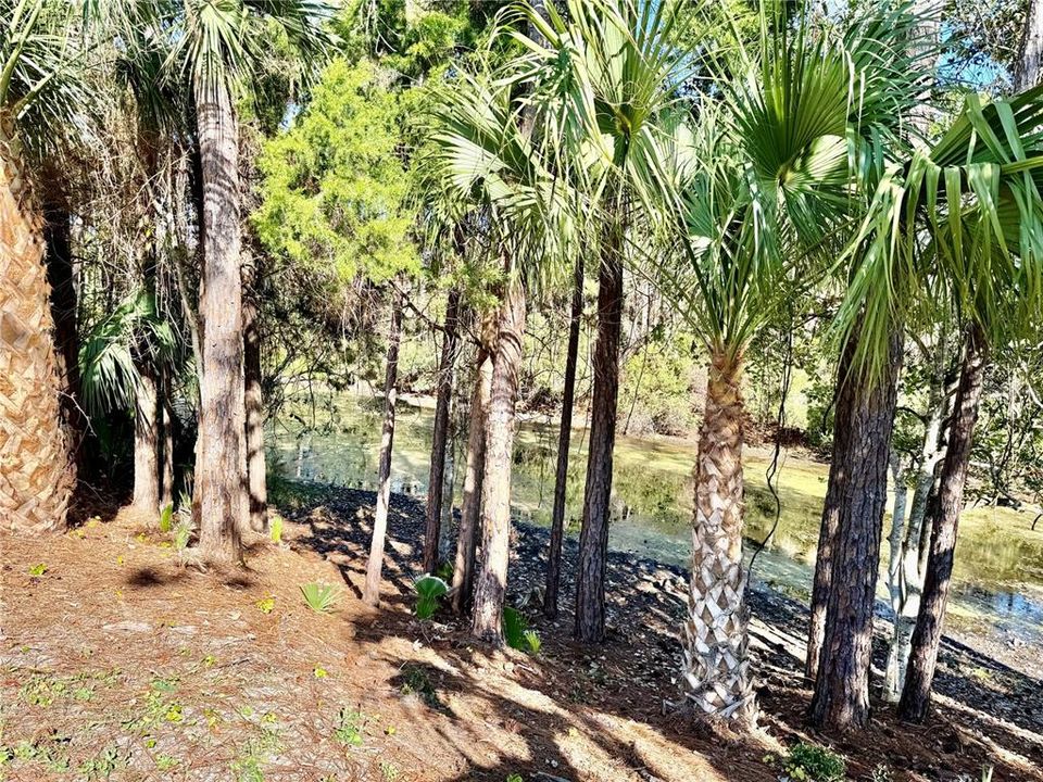 待售: $329,900 (3 贝兹, 2 浴室, 1576 平方英尺)