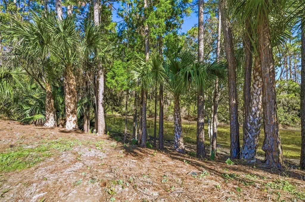 En Venta: $329,900 (3 camas, 2 baños, 1576 Pies cuadrados)