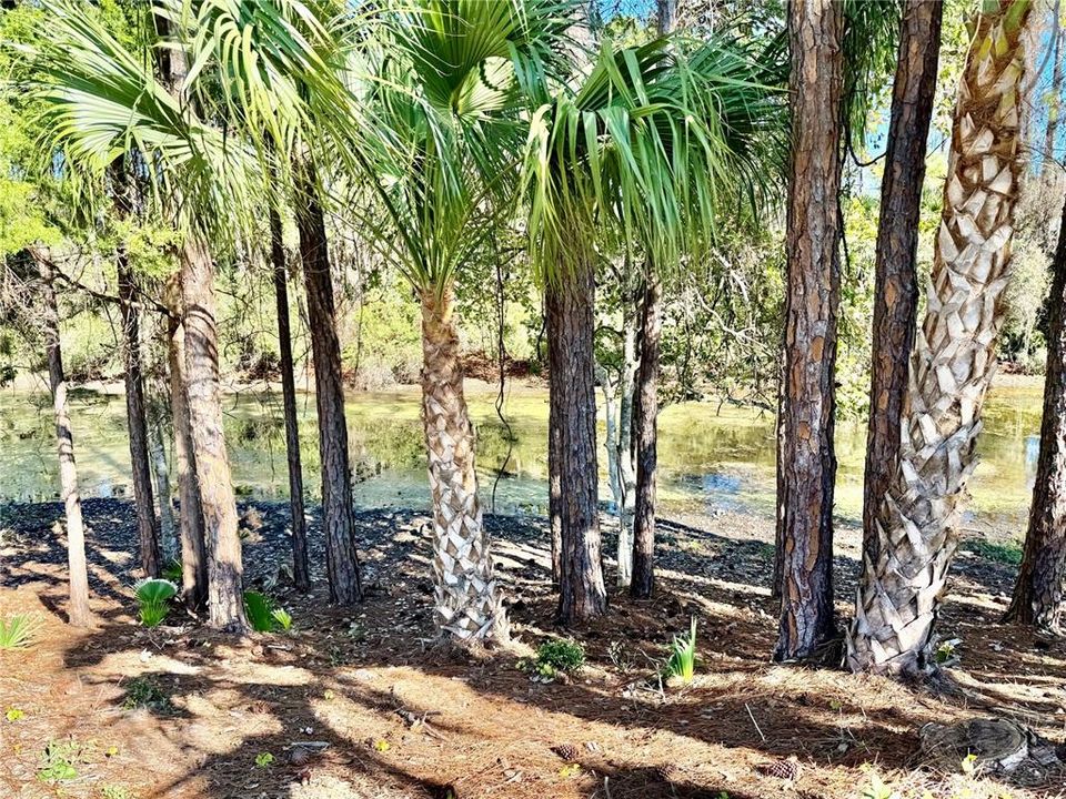 待售: $329,900 (3 贝兹, 2 浴室, 1576 平方英尺)