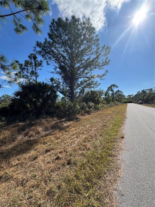 待售: $12,500 (0.23 acres)