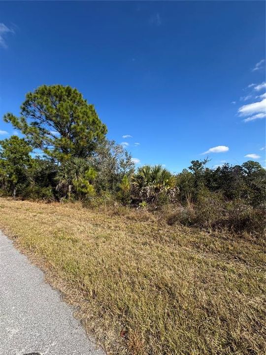 待售: $12,500 (0.23 acres)