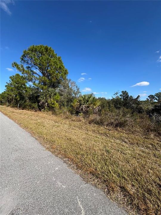 待售: $12,500 (0.23 acres)