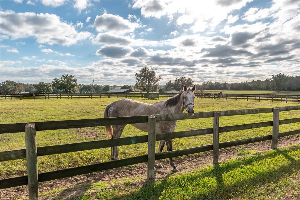 En Venta: $4,900,000 (2 camas, 2 baños, 1567 Pies cuadrados)