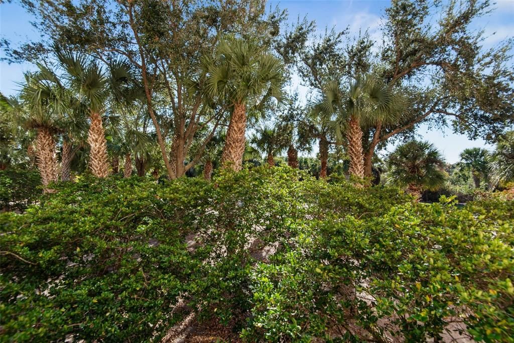 待售: $524,000 (3 贝兹, 2 浴室, 1264 平方英尺)