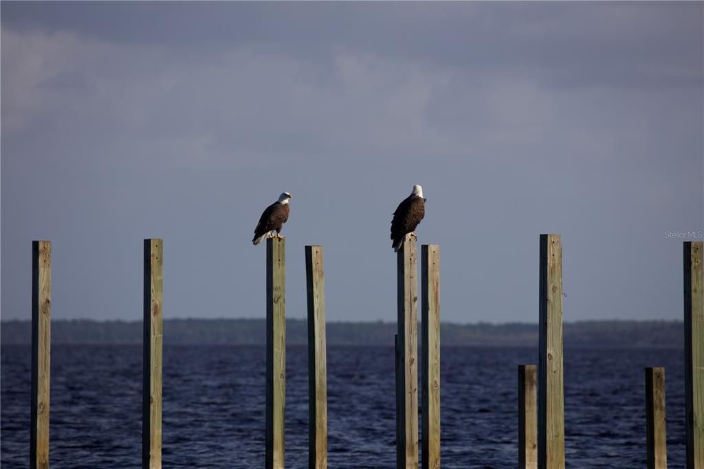 На продажу: $650,000 (3 спален, 3 ванн, 2247 Квадратных фут)