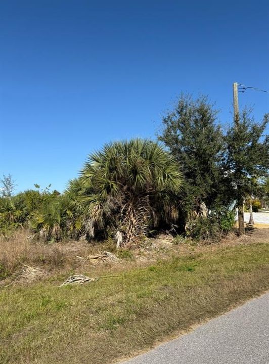 待售: $30,000 (0.23 acres)