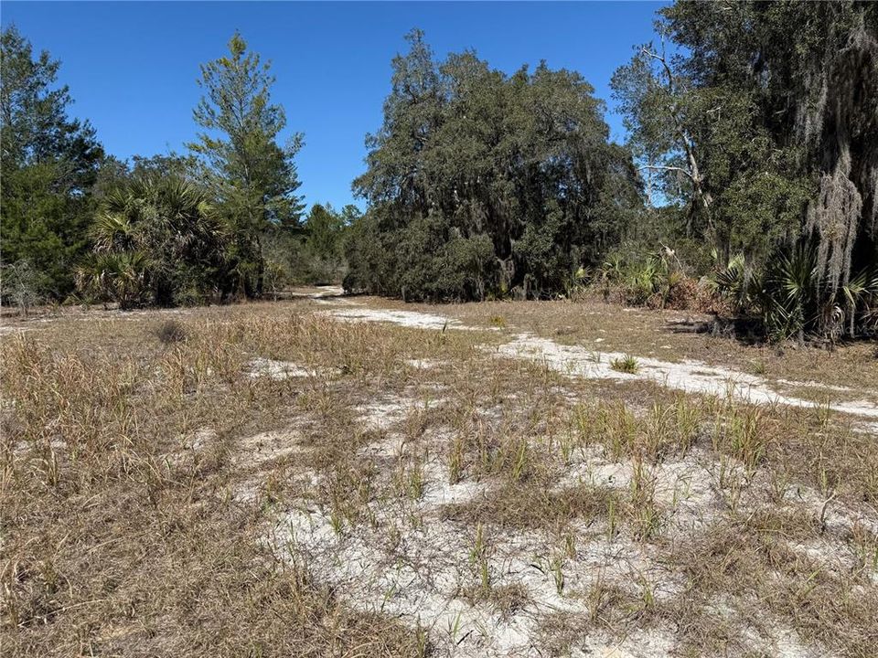 For Sale: $275,000 (14.31 acres)